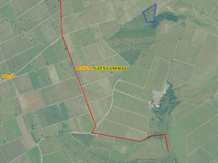 Vrancea / Panciu  teren agricol 5000mp